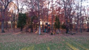2016-11-19-16-35-25