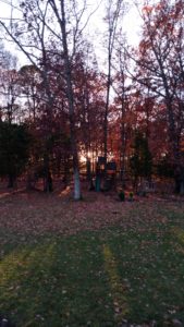 2016-11-19-16-35-28